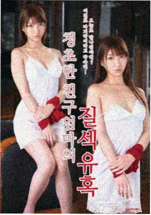 雾港回声 在线视频剧集封面